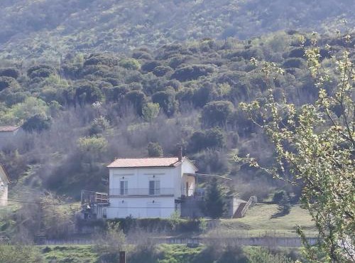 La Rosa