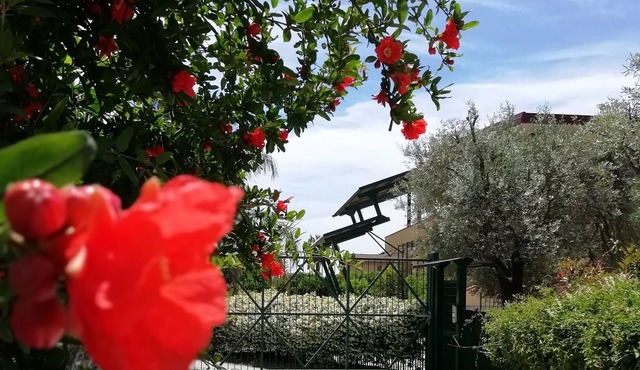 LAST MINUTE on the BEAUTIFUL SEA 3 bedrooms + 2 large terraces 2 bathrooms 3min walk to the beach