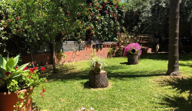 Le quattro rose