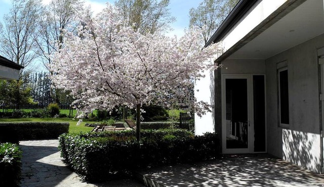 Luxurious Accommodation with Spacious Grounds in Canterbury, South Island