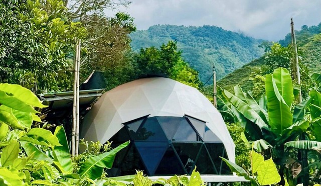 Luxury DOME with private Hot Tube - Nature Views - Pet-Friendly