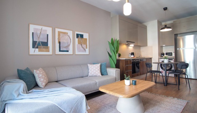 Modern 1 bedr apartment newly furnished