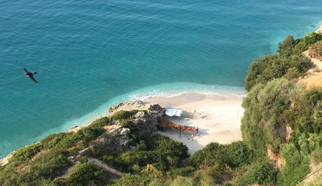 Odhisea Hotel Restaurant