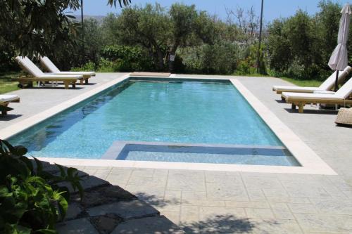 Olive View