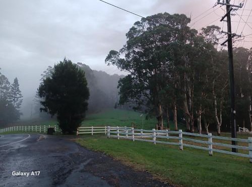 Paddock Shack