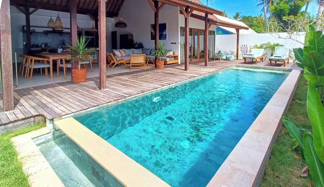Palm Paradise