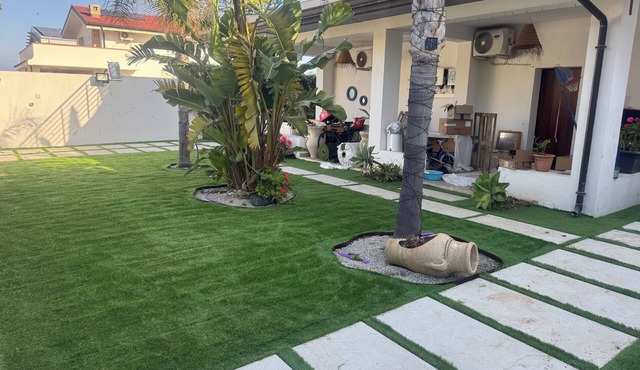 Palms by the sea - within walking distance of the beach.