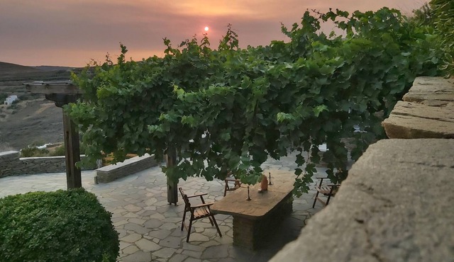 PAPs Farm - Alexandria