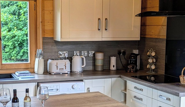 Pet Friendly - Lodge at Riverview Holiday Park