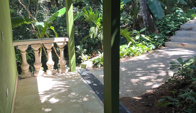 Pickleball Jungle Parrot