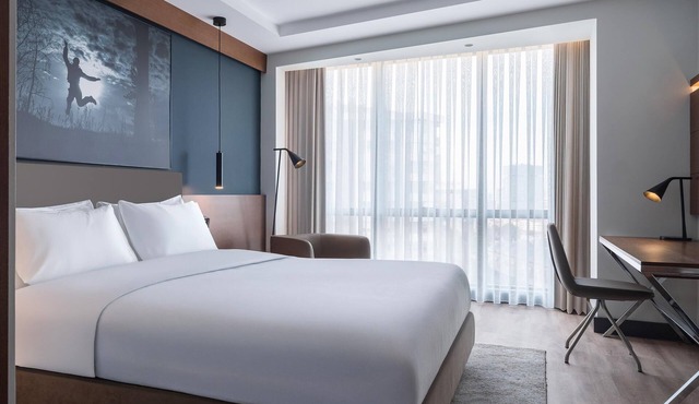 Radisson Blu Hotel Ankara Cankaya