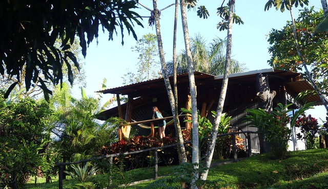 Rainforest Sanctuary - Cabin by a River