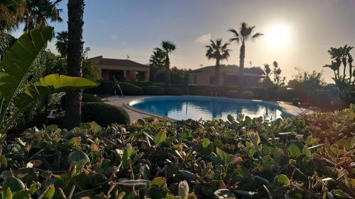 Relax pool oasis