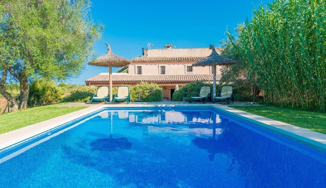 SES PLANES - Ancient 16th century oil mill with a private pool and in a quiet area. Free W