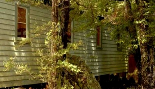 Simple Vacation Rental with Shared Facilities near Whare Creek, New Zealand