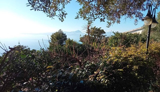 Studio apartment surrounded by greenery in Marina di Maratea