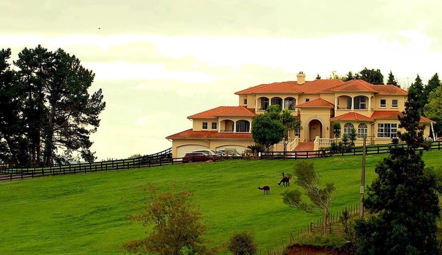 Stunning Countryside Getaway in Hamilton, North Island