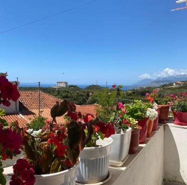 Summerland Lukovë