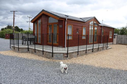 Sunnyside Lodge
