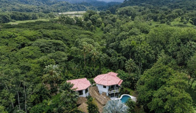 The Jungle Sanctuary