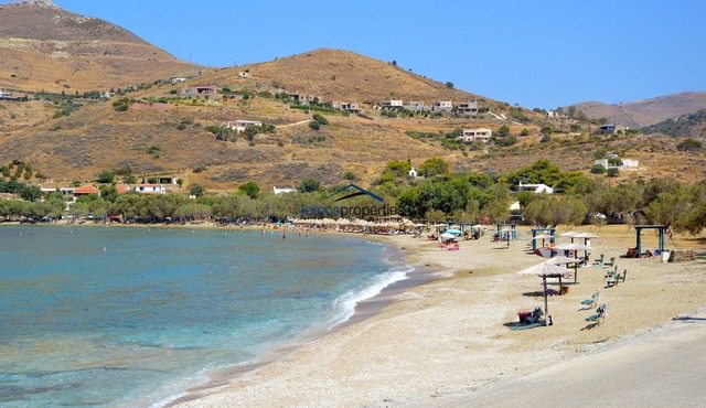 The "Olive Tree" stone house 50 meters from the beach of Otzia.