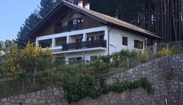 Tra il bosco e il lago
