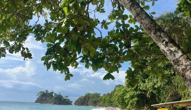 Tranquil Beachside Retreat With Private Pool in Garabito
