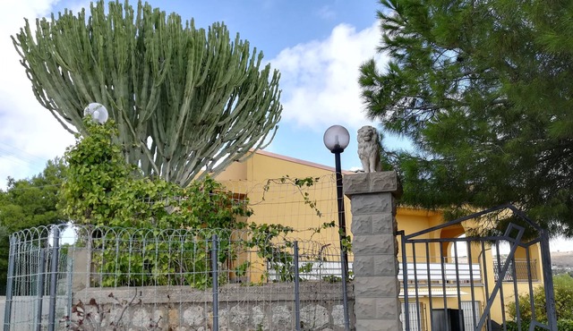 Typical Sicilian country house surrounded by olive trees and vineyards