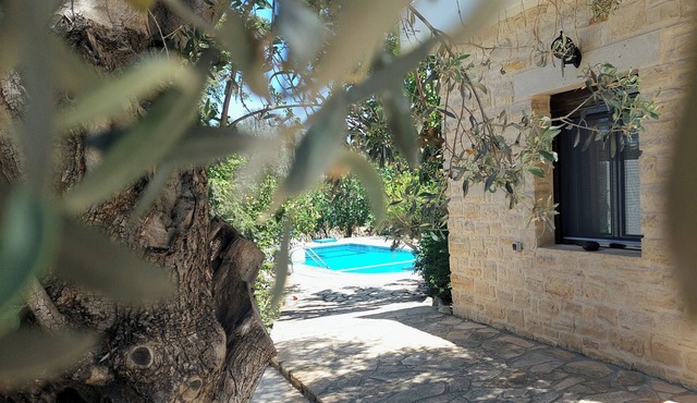 Villa Elia is situated in a quiet area, surrounded by olive trees with a private