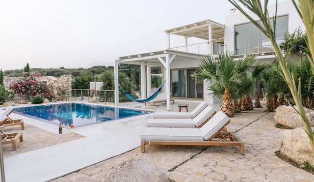 Villa Olympia in the palm trees.