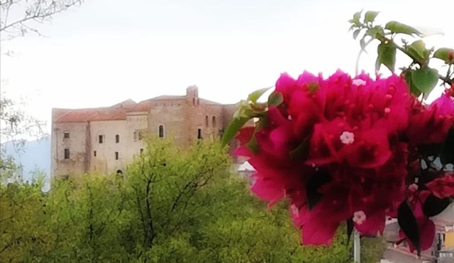 Ypsibloom