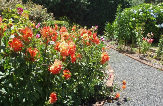 Boat Harbour Garden Cottages 