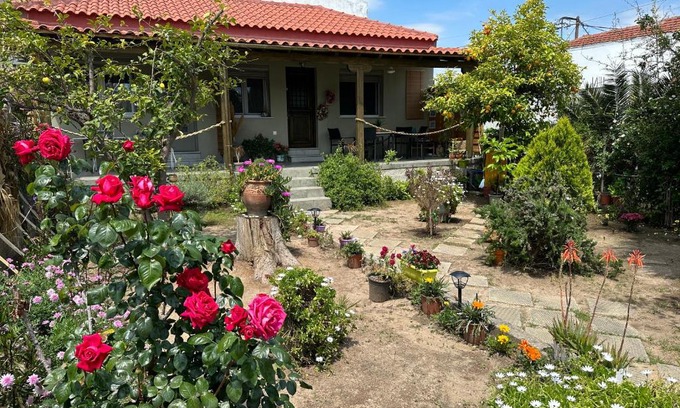 Nees Pagases Apartment | Λευκό γιασεμί - Νέες Παγασές Βόλος