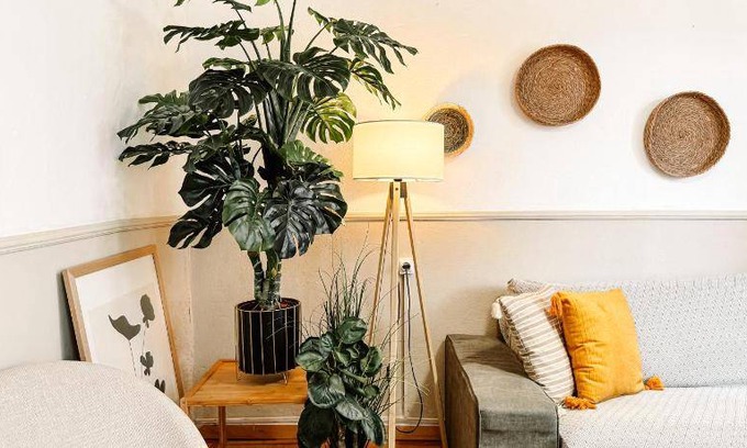 Old Town Apartment | 100 m² Apartment ∙ 3 bedrooms ∙ 6 guests