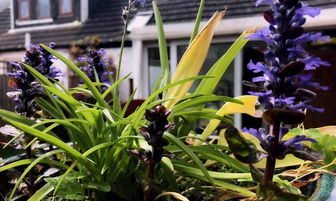 Girvan House | 100 m² House ∙ 3 bedrooms ∙ 6 guests