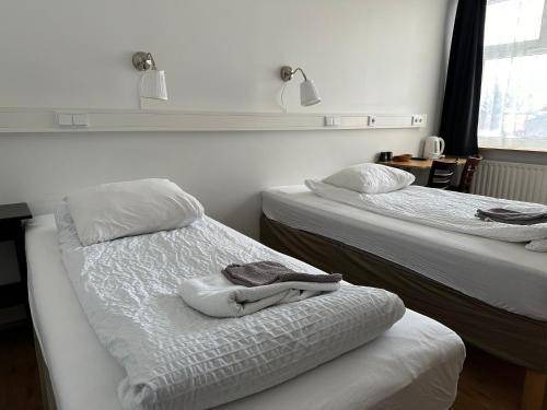 Hella Hostel | 12 m² Hostel ∙ 2 guests