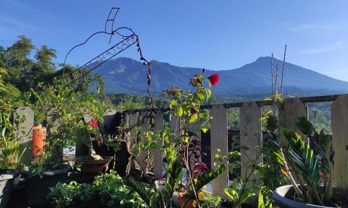 Tetebatu Bed & Breakfast | 15 m² Bed and breakfast ∙ 6 guests