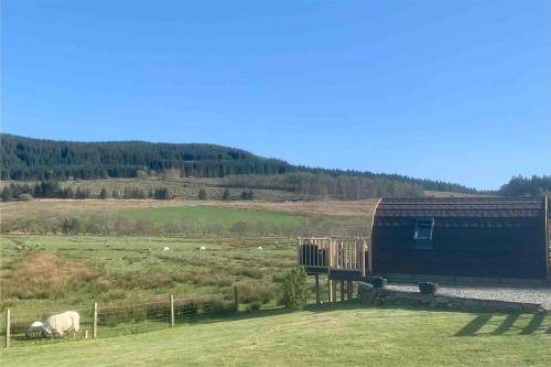 Lochgilphead Ski Chalet | 16 m² Chalet ∙ 1 bedroom ∙ 2 guests