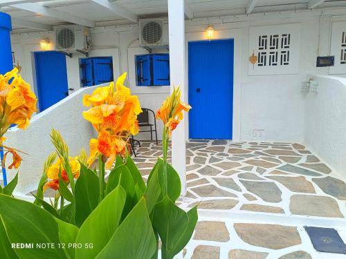Minia Apartment | 17 m² Apartment ∙ 1 bedroom ∙ 2 guests