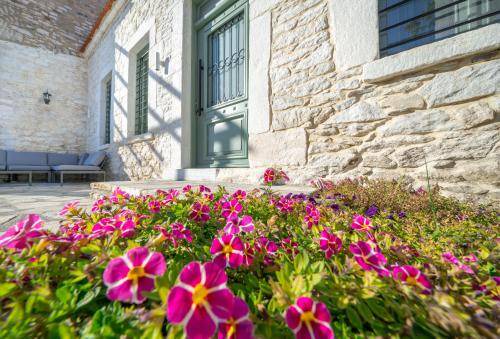Thasos Apartment | 60 m² Apartment ∙ 2 bedrooms ∙ 4 guests