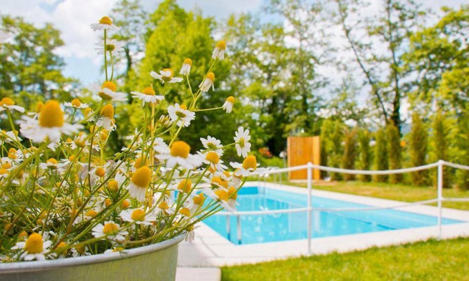 Olympiada Apartment | 60 m² Studio flat ∙ 1 bedroom ∙ 6 guests