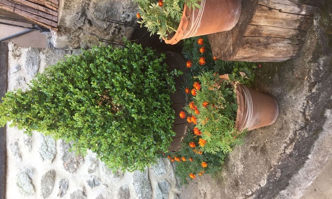 Agios Germanos Hotel | Agios Germanos Traditional Hotel