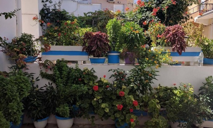 Palaiochora Hotel | Blue Sky