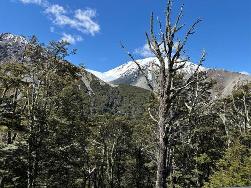 Craigieburn Forest Park Hostel | Craigieburn Valley