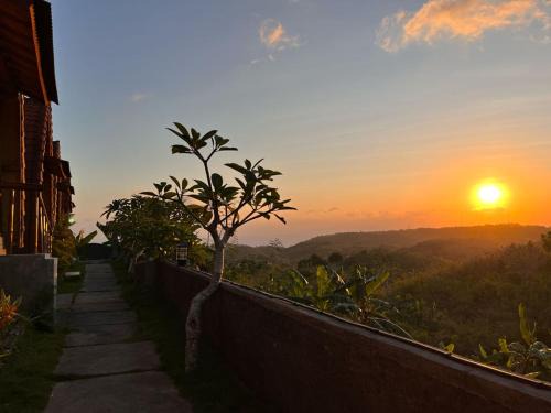Penida Island Apartment | D Sebuluh Guest House