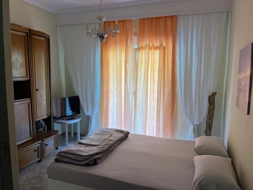 Palaio Tsifliki Apartment | Nectarios seaside apartment.