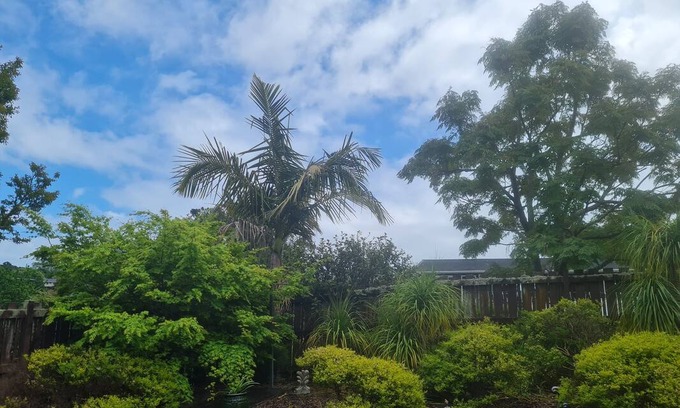 Auckland Resort | Private room ∙ 1 guest