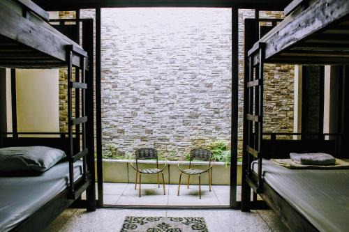 San Jose Hostel | Stray Cat Hostel