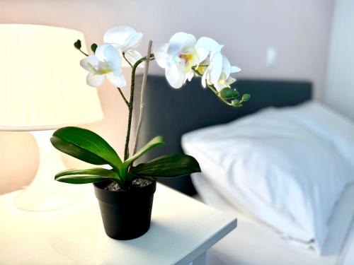 Anavyssos Apartment | Sun Beach Apartment
