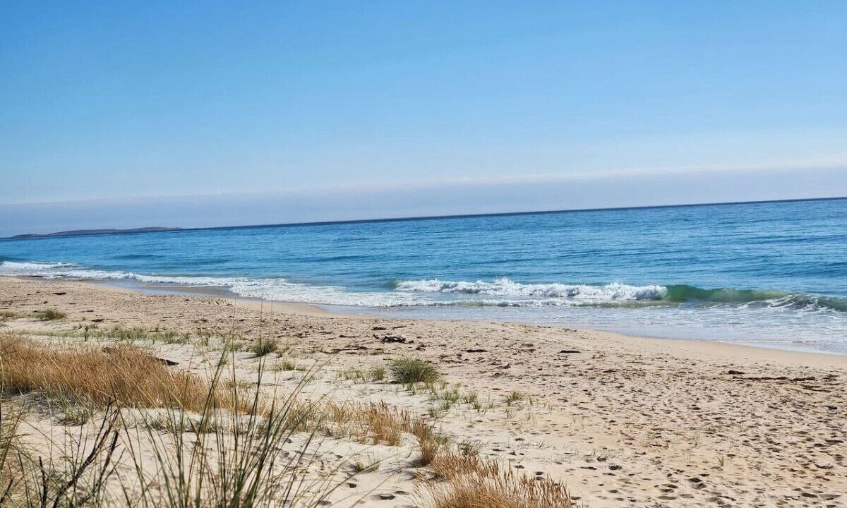 Scamander House | Ocean Breeze - Foodies Delight - Scamander